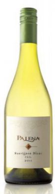 Palena Sauvignon Blanc-519