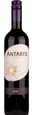 Antares Merlot-587